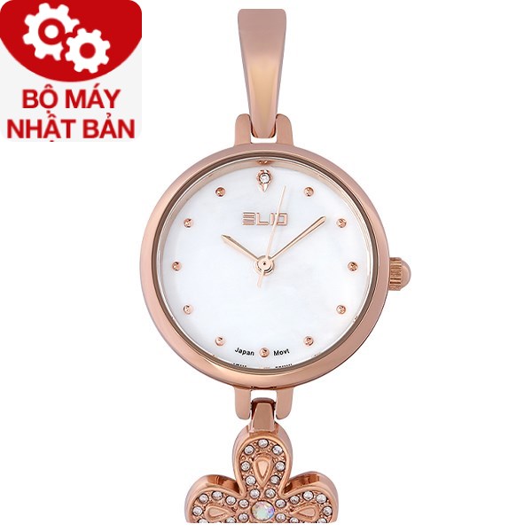 WordPress optimized image